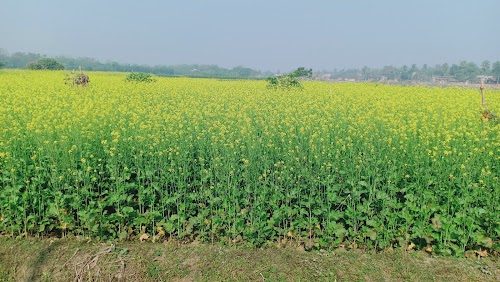 Purba Munshi Para Waqtiya Masjis