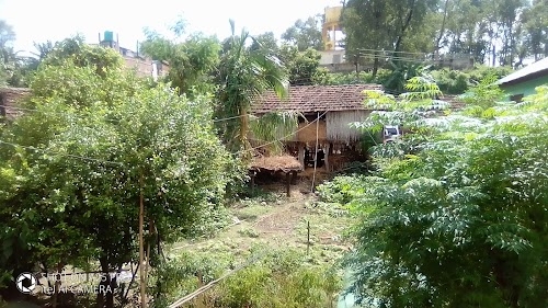 Kafle house(bhanubhakta)
