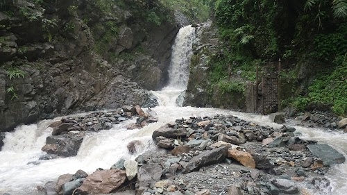 Shiva Jatta