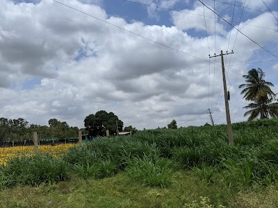 Bikkanahalli