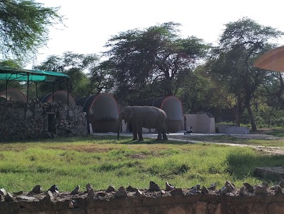 Delhi Zoo