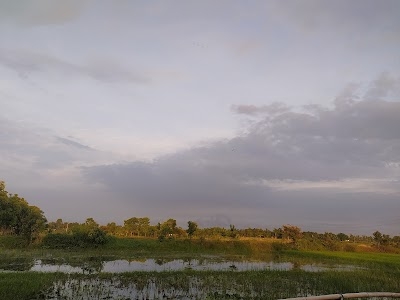 Gunaibori