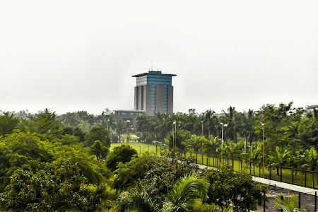 DRIEMS School of Professional Studies