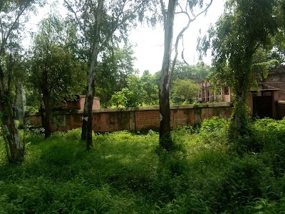 Patel College