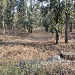 Pakhara Temple