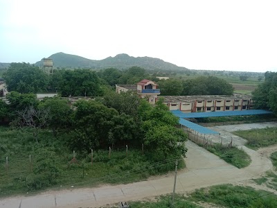 Govt pg college bibirani