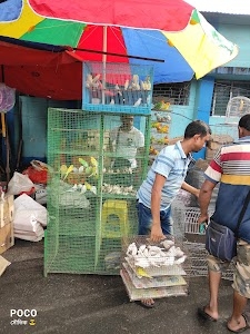Gallif Street Pet Market