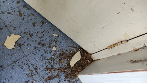 Rentokil PCI Pest Control Service