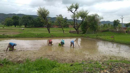 Singrauli - Satna Dhaba