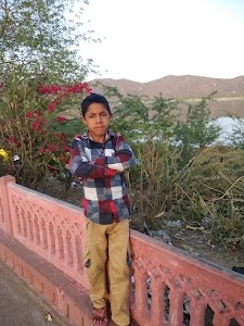 Gunsar
