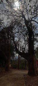 Khuntpani