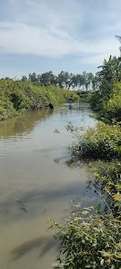 Sahargram