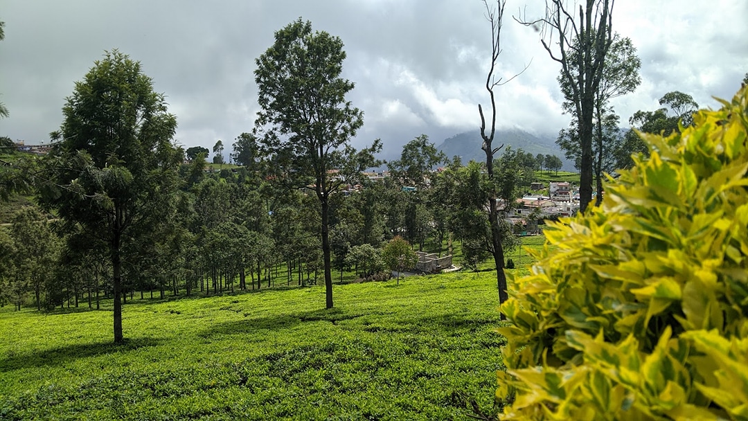 Kotagiri