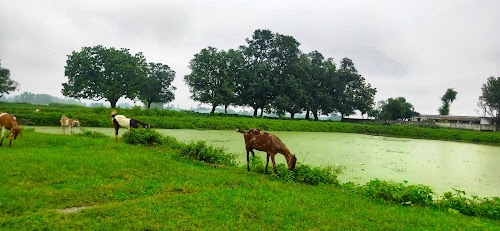 Shiv Mandir