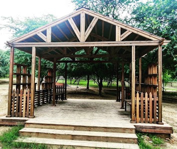 Priya Park