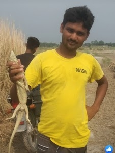 Chilwaniyan