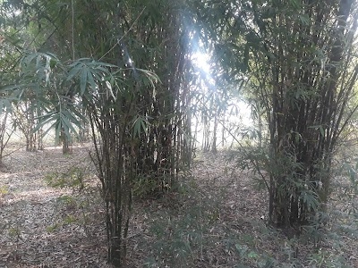Patan
