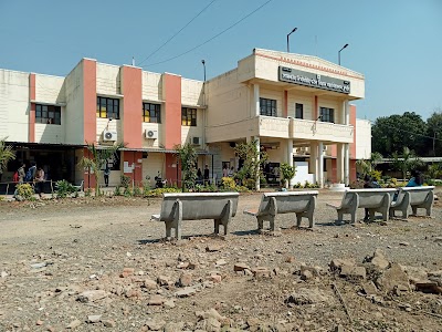 Govt. Nirbhay Singh Patel Science College