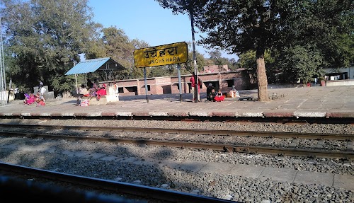 Unchhera