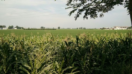 Manupur
