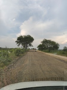 Barwasni