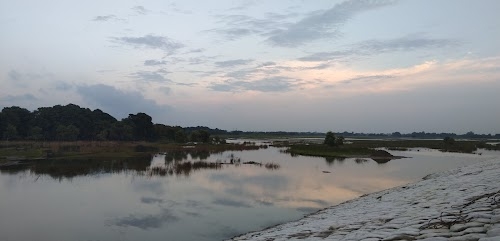 Naruar
