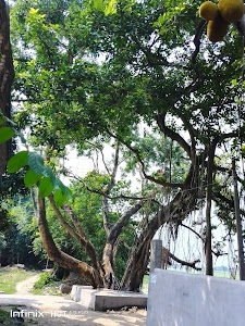 HIGH SCHOOL FUDKIPUR
