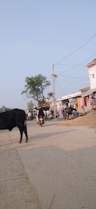 Bachhamadi