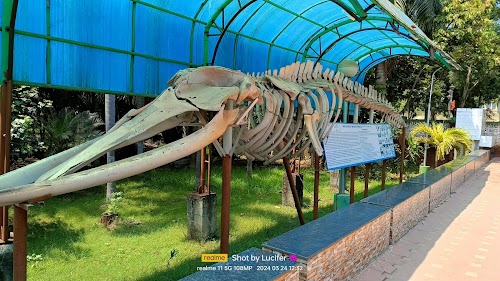 Marine Aquarium & Regional Centre