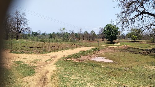 Phulbari
