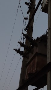 Rohit