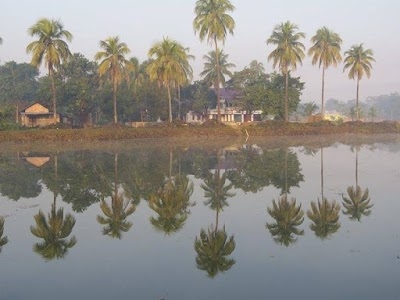 Salkocha