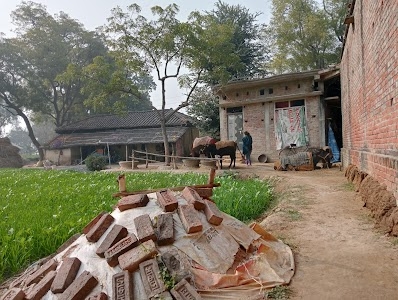 Bhopalpur (pardhan ) Post redigarapur,patti , pratapgarh (up) 230135