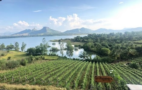 Vallonne Vineyards Pvt. Ltd.
