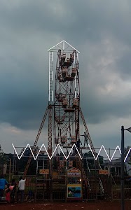 Pingua