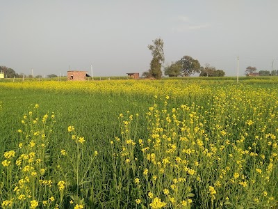 Gopalapur