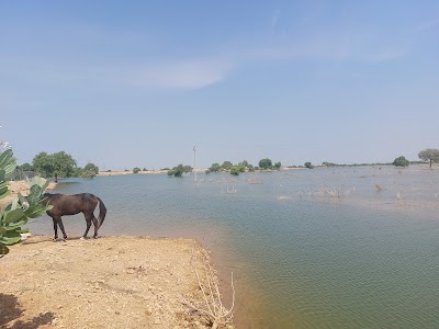 Raneri Talab