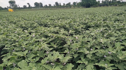 Tuljapur Jahagir