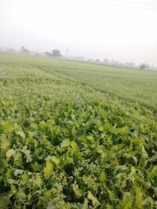 Fatehgarh