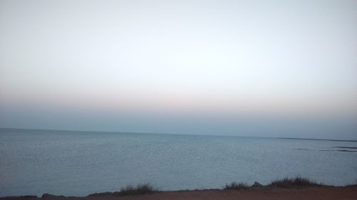 New Bedi Port