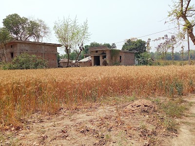 Hareram sharma