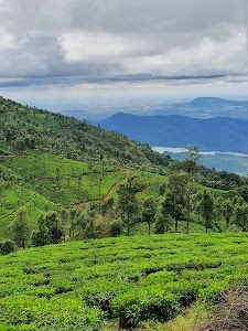 Pillur Dam View Point