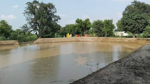 Shyam ji tripathi