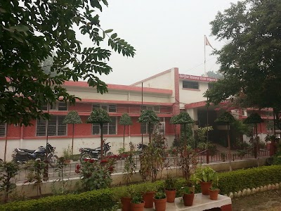 Kendriya Vidyalaya Punjab Lines