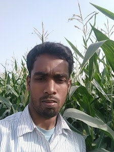 Ayush General Store Shankarpur