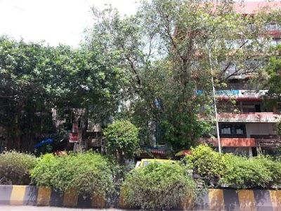 Raghuvanshi Mills