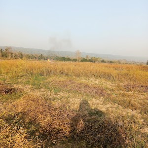 Simara, Madi, Chitawan
