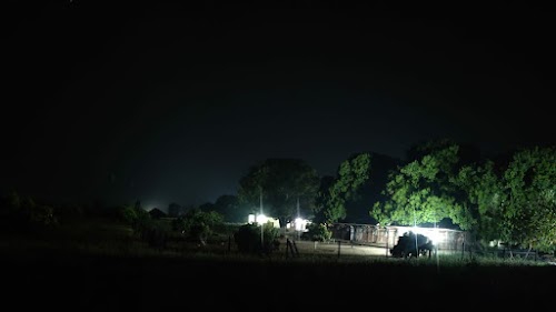 Petpremi Dog kennel Chakaluwa, Devipura.