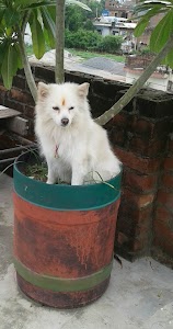 Preeti Nagar