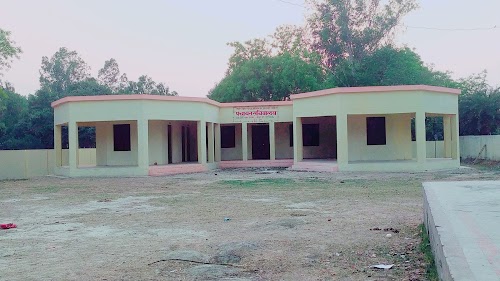 Zambur Pur